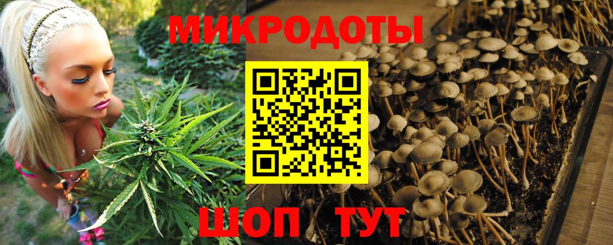 Старый Оскол  Псилоцибиновые грибы Magic Shrooms  Галлюциногенные грибы Psilocybe  Вход с VPN 