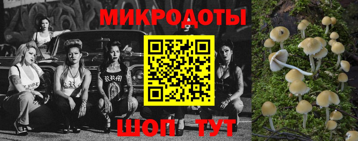 Псилоцибиновые грибы MAGIC MUSHROOMS Старый Оскол